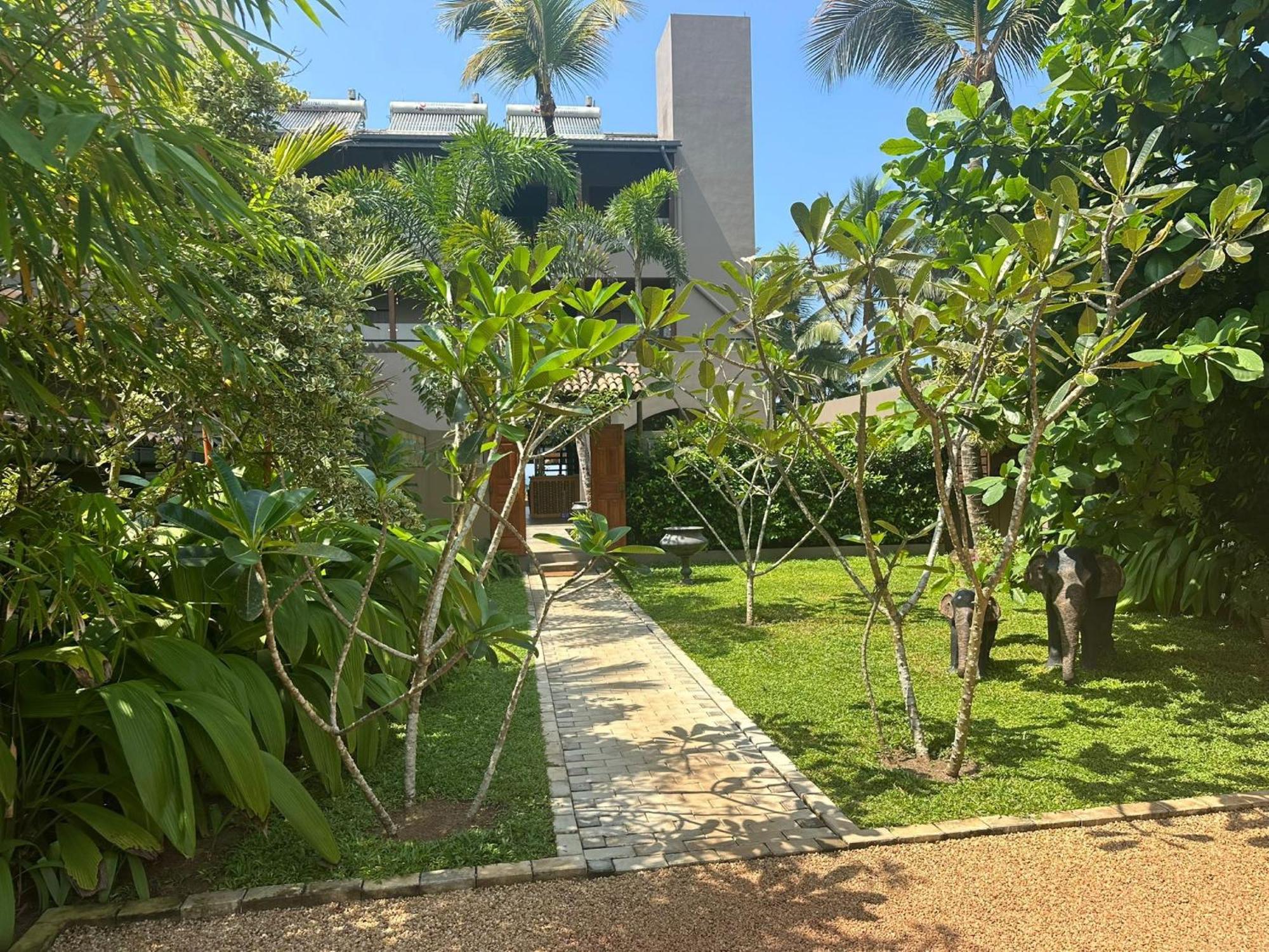 Bk Beach Boutique Hotel - Хіккадува Екстер'єр фото